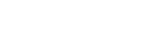 guessWho FX